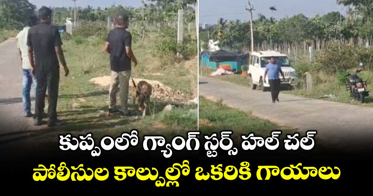 చిత్తూరు జిల్లా: కుప్పంలో గ్యాంగ్ స్టర్స్ హల్ చల్.. పోలీసుల కాల్పుల్లో ఒకరికి గాయాలు