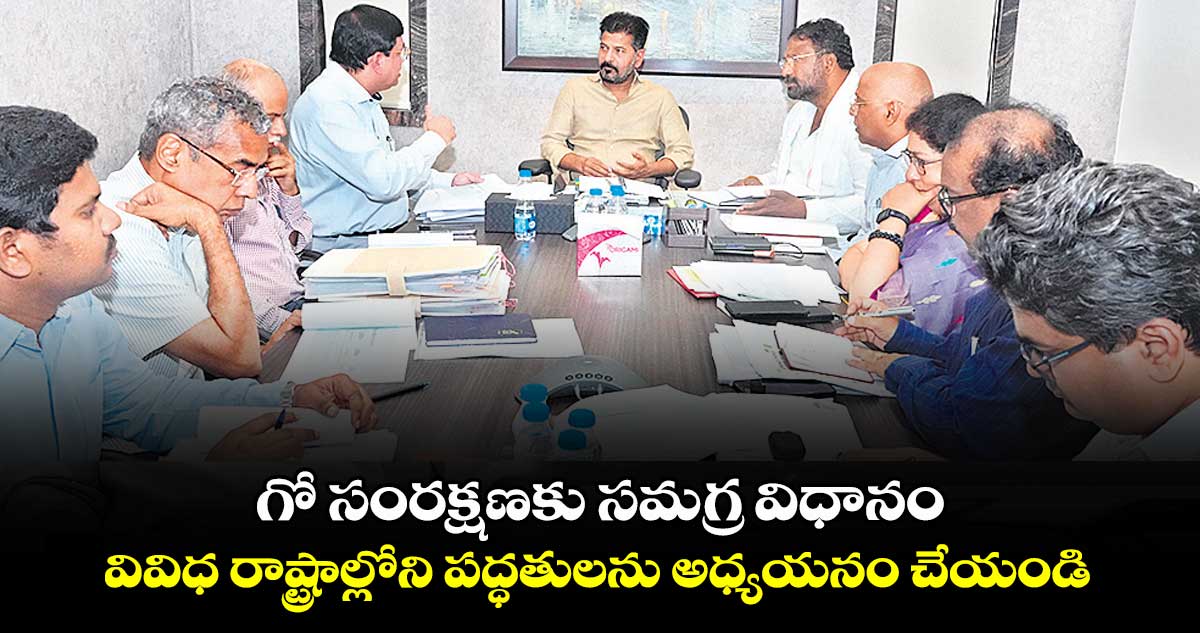 గో సంరక్షణకు సమగ్ర విధానం.. వివిధ రాష్ట్రాల్లోని పద్ధతులను అధ్యయనం చేయండి : సీఎం రేవంత్ రెడ్డి