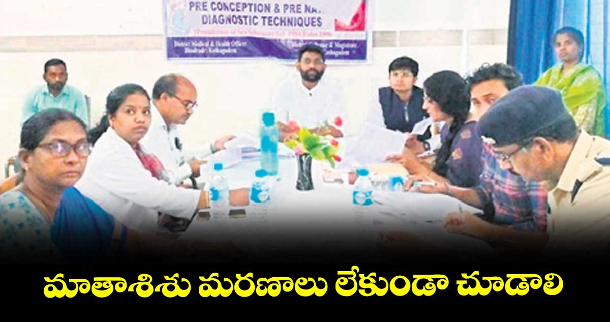 మాతాశిశు మరణాలు లేకుండా చూడాలి : కలెక్టర్ జితేశ్వి.పాటిల్
