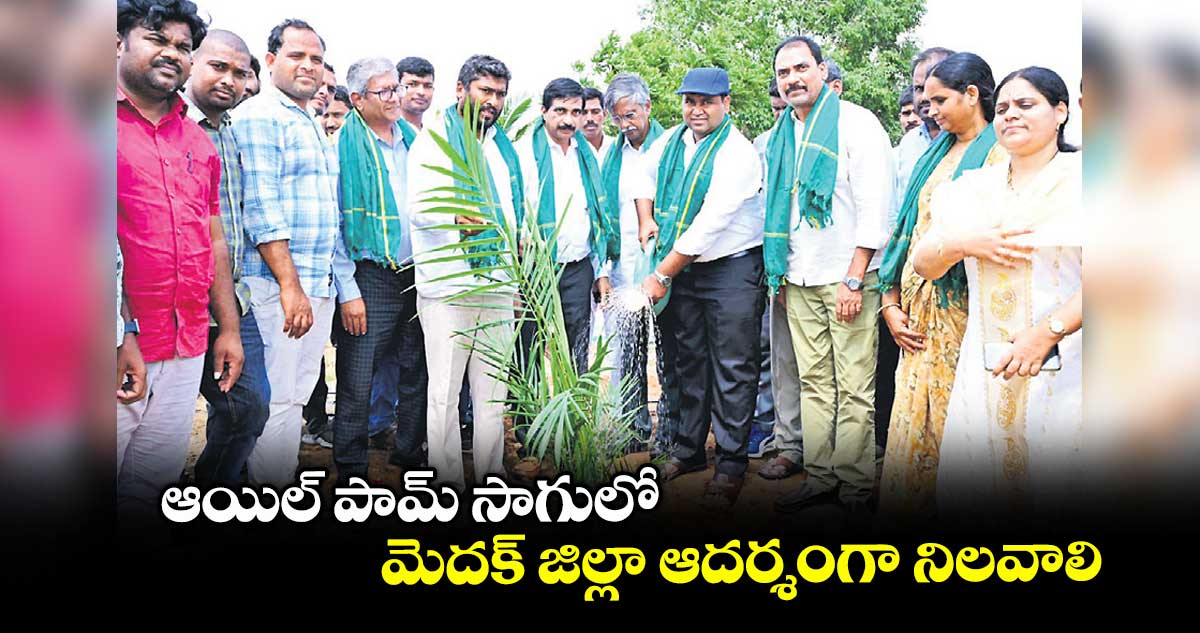 ఆయిల్ పామ్ సాగులో మెదక్ జిల్లా ఆదర్శంగా నిలవాలి : కలెక్టర్ రాహుల్ రాజ్