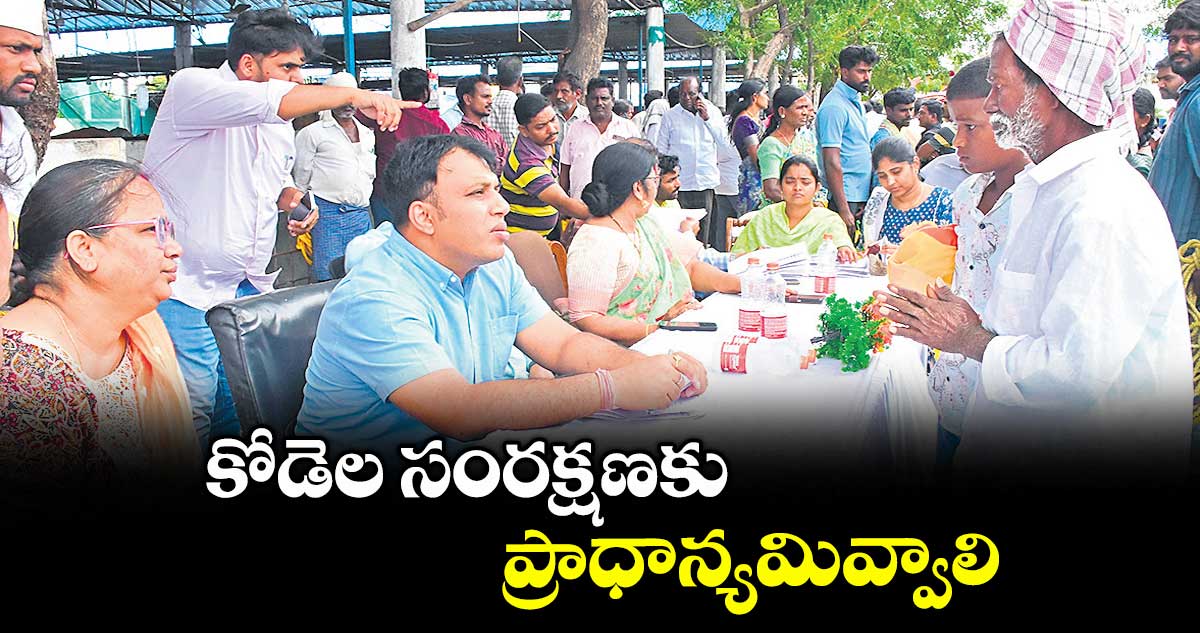 కోడెల సంరక్షణకు ప్రాధాన్యమివ్వాలి : కలెక్టర్ సందీప్ కుమార్ ఝా