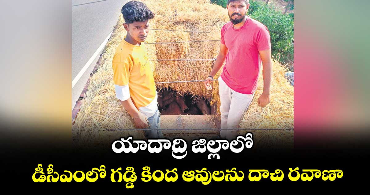 యాదాద్రి జిల్లాలో డీసీఎంలో గడ్డి కింద ఆవులను దాచి రవాణా