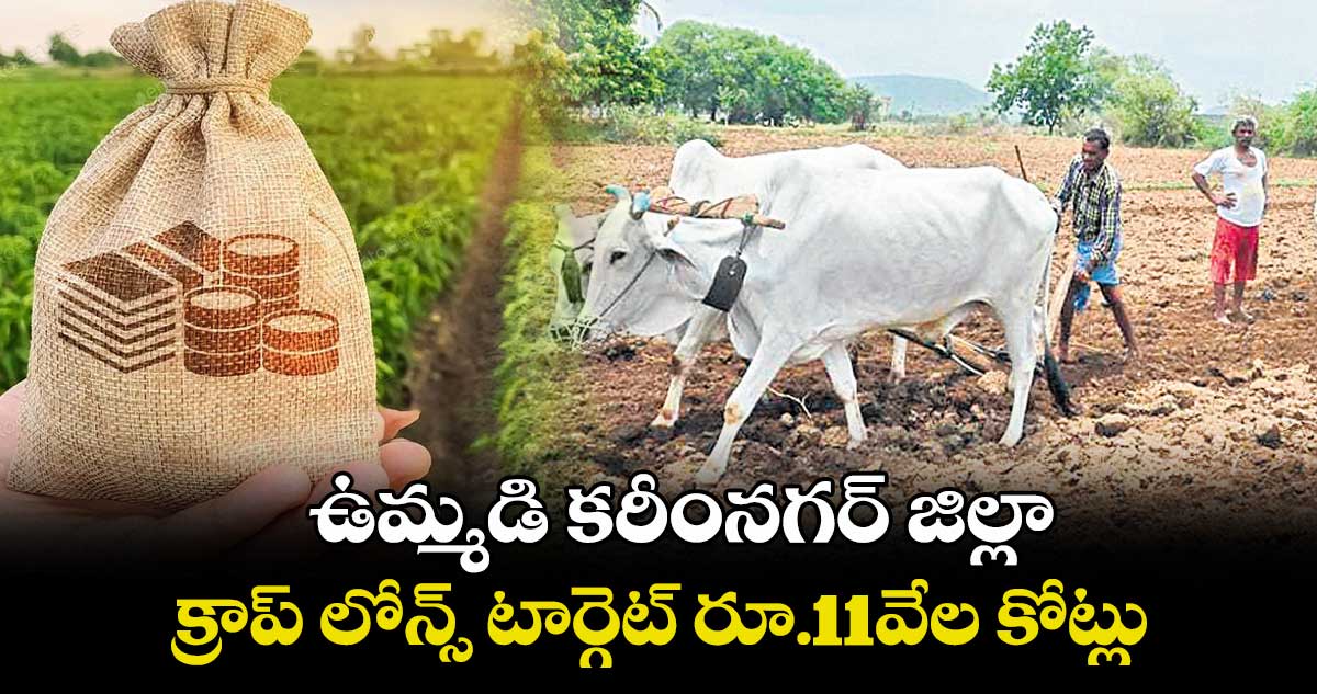 ఉమ్మడి కరీంనగర్ జిల్లా క్రాప్ లోన్స్ టార్గెట్ రూ.11వేల కోట్లు