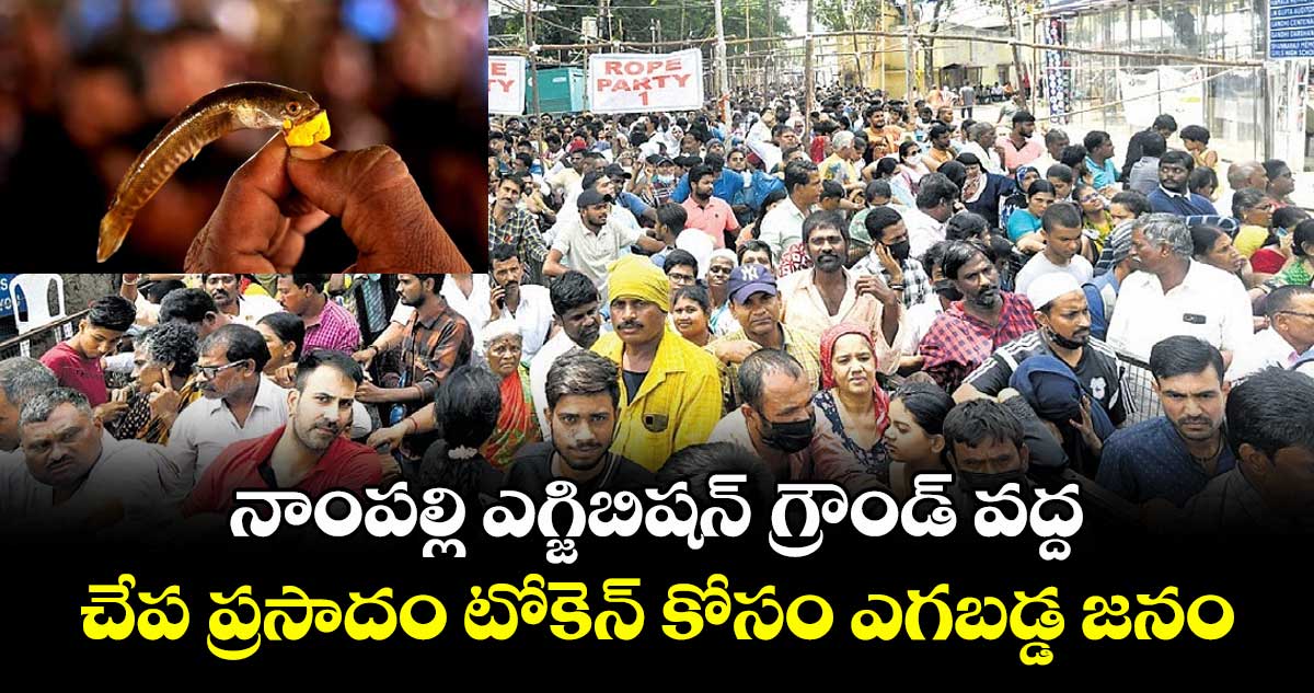 నాంపల్లి ఎగ్జిబిషన్ గ్రౌండ్ వద్ద చేప ప్రసాదం టోకెన్ కోసం ఎగబడ్డ జనం