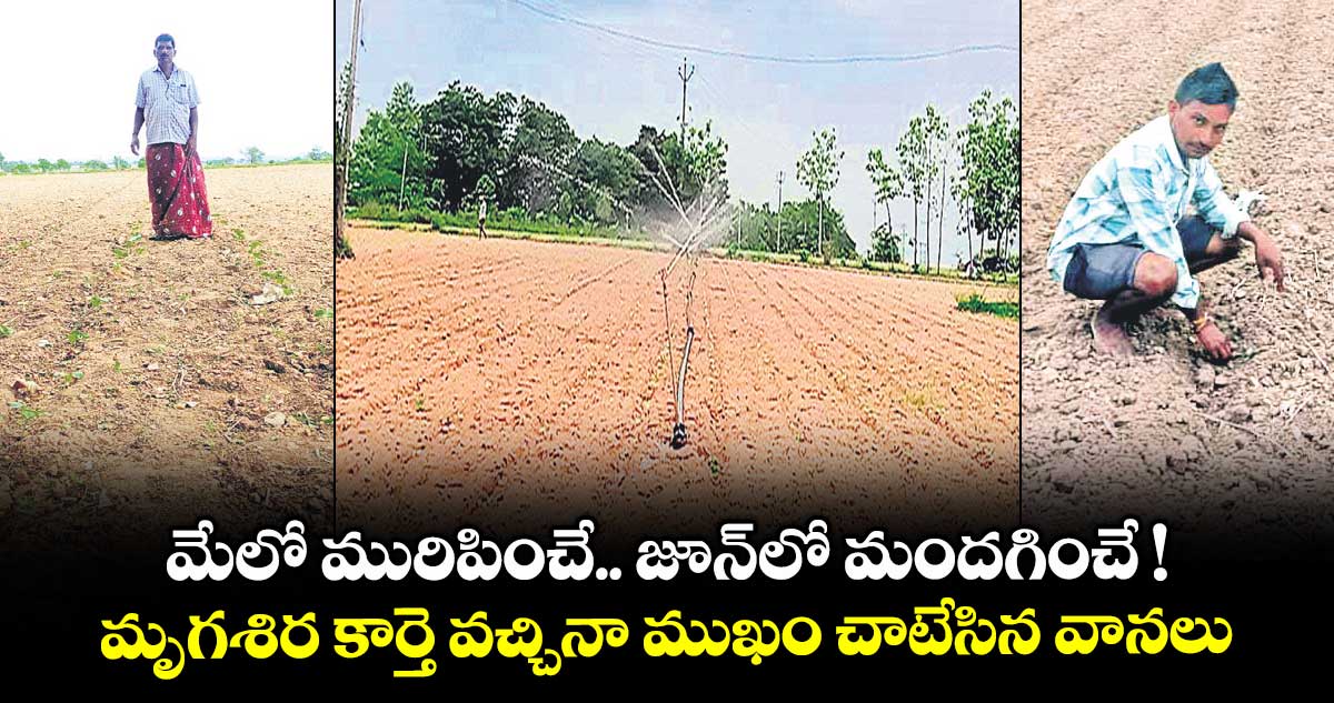మేలో మురిపించే... జూన్లో మందగించే !.. మృగశిర కార్తె వచ్చినా ముఖం చాటేసిన వానలు