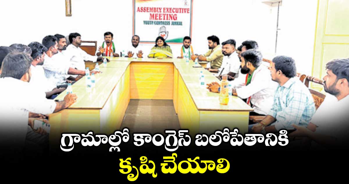 గ్రామాల్లో కాంగ్రెస్ బలోపేతానికి కృషి చేయాలి: అమృత