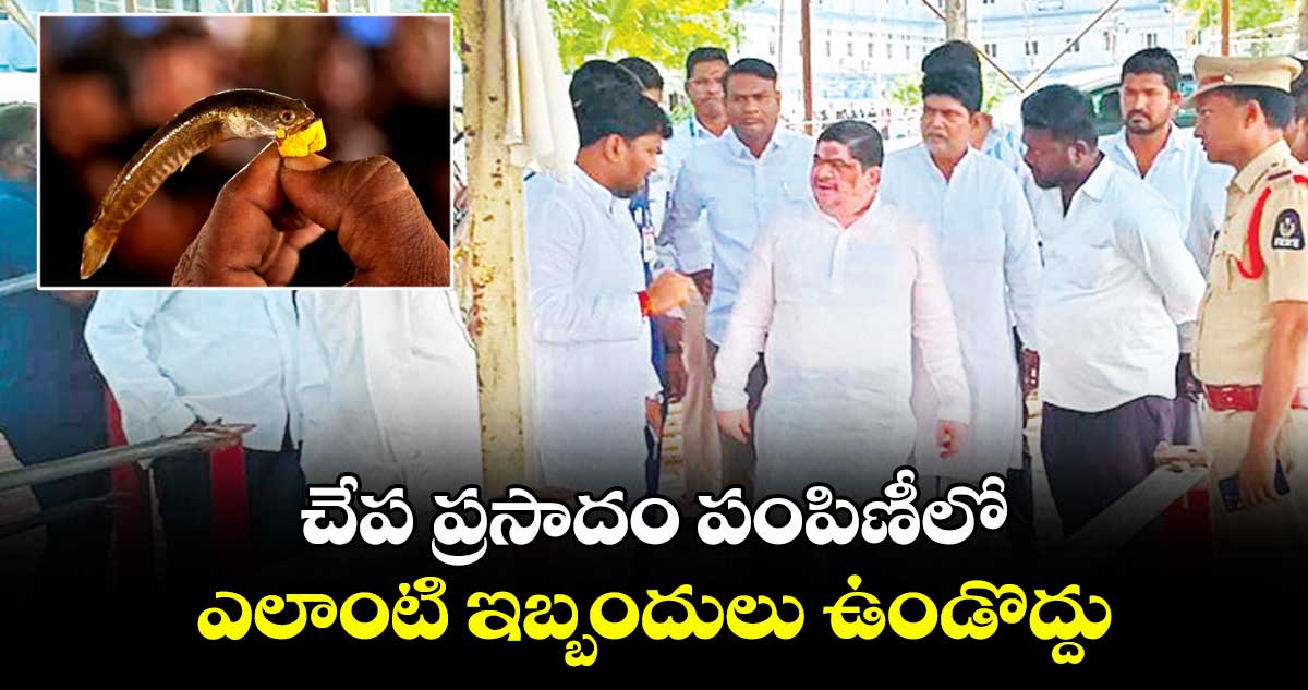చేప ప్రసాదం పంపిణీలో ఎలాంటి ఇబ్బందులు ఉండొద్దు