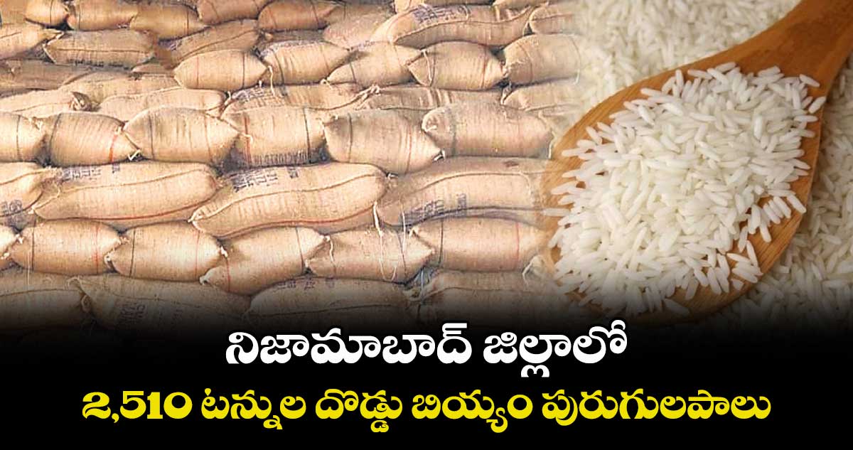 నిజామాబాద్ జిల్లాలో 2,510 టన్నుల .. దొడ్డు బియ్యం పురుగులపాలు