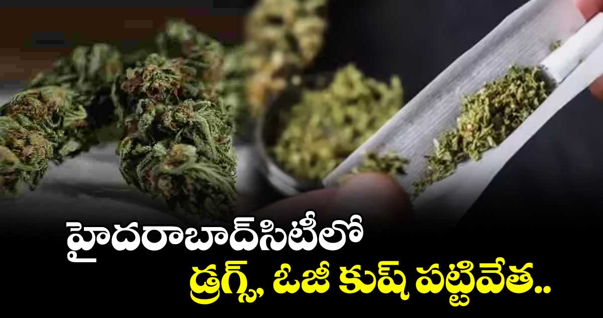 హైదరాబాద్సిటీలో డ్రగ్స్, ఓజీ కుష్ పట్టివేత..