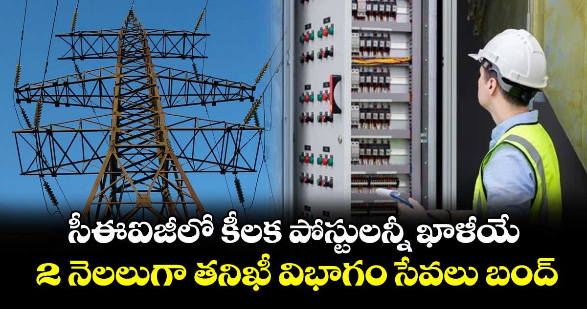 సీఈఐజీలో కీలక పోస్టులన్నీ ఖాళీయే..2 నెలలుగా తనిఖీ విభాగం సేవలు బంద్