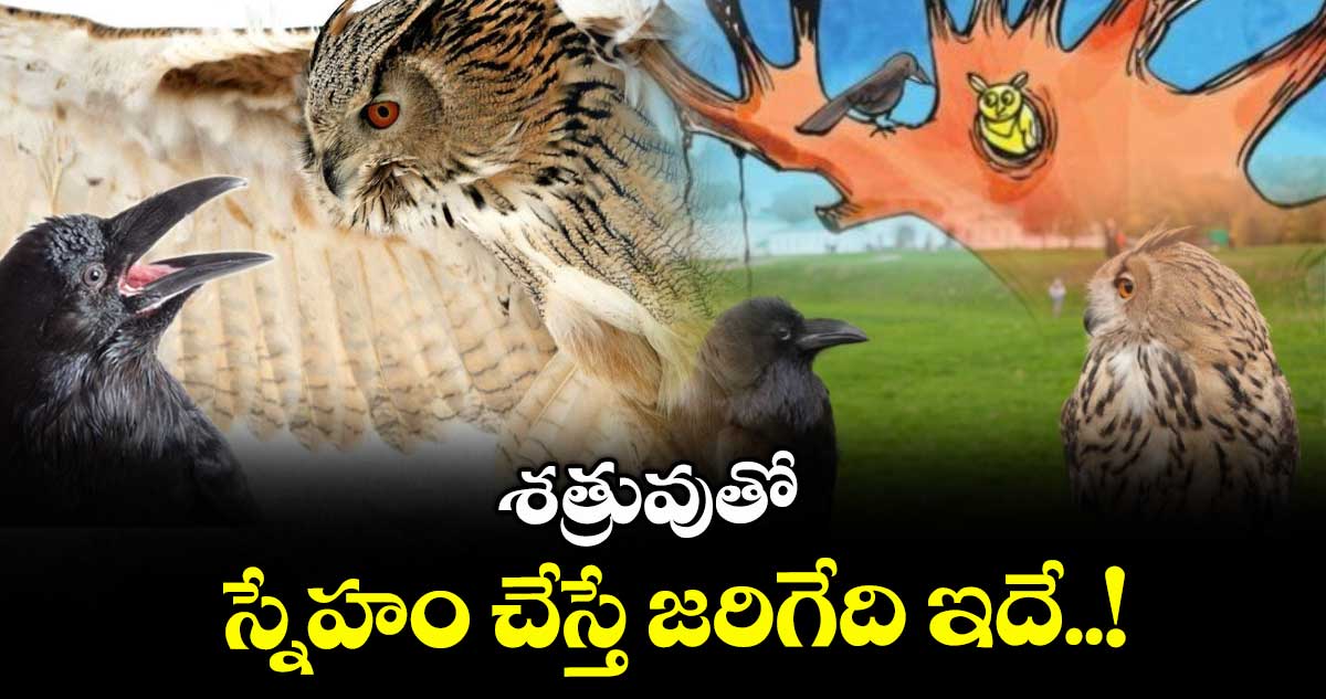 శత్రువుతో స్నేహం చేస్తే జరిగేది ఇదే..!