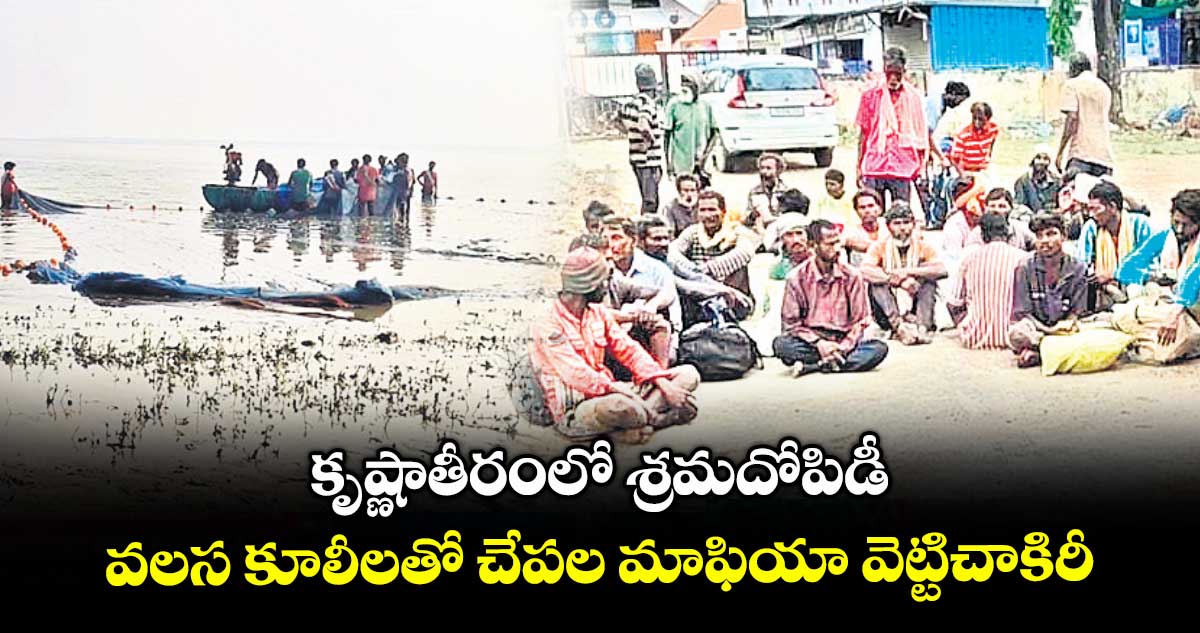 కృష్ణాతీరంలో శ్రమదోపిడీ .. వలస కూలీలతో చేపల మాఫియా వెట్టిచాకిరీ