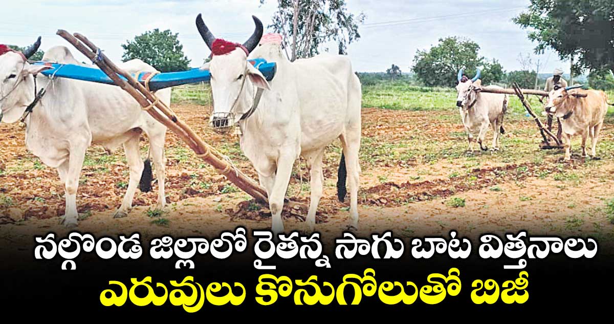 నల్గొండ జిల్లాలో రైతన్న సాగు బాట విత్తనాలు .. ఎరువులు కొనుగోలుతో బిజీ