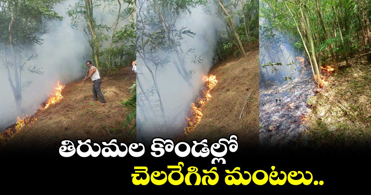 తిరుమల కొండల్లో చెలరేగిన మంటలు..