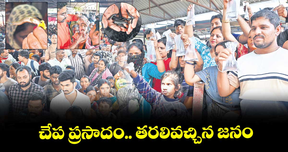 చేప ప్రసాదం.. తరలివచ్చిన జనం