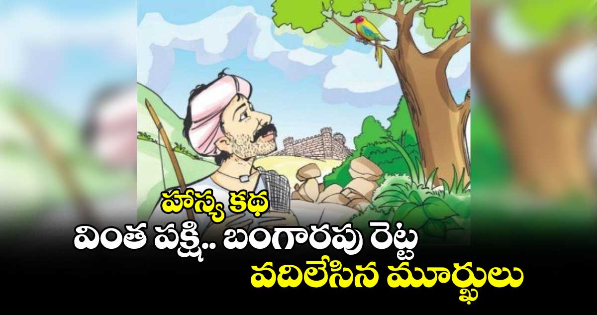 హాస్య కథ: వింత పక్షి.. బంగారపు రెట్ట.. వదిలేసిన మూర్ఖులు
