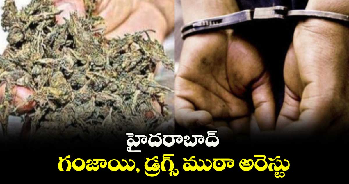 హైదరాబాద్: గంజాయి, డ్రగ్స్ ముఠా అరెస్టు