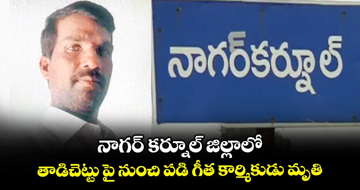 నాగర్ కర్నూల్ జిల్లాలో తాడిచెట్టు పై నుంచి పడి గీత కార్మికుడు మృతి