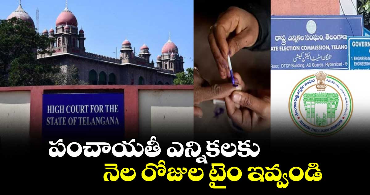 పంచాయతీ ఎన్నికలకు నెల రోజుల టైం ఇవ్వండి : హైకోర్టులో ప్రభుత్వం