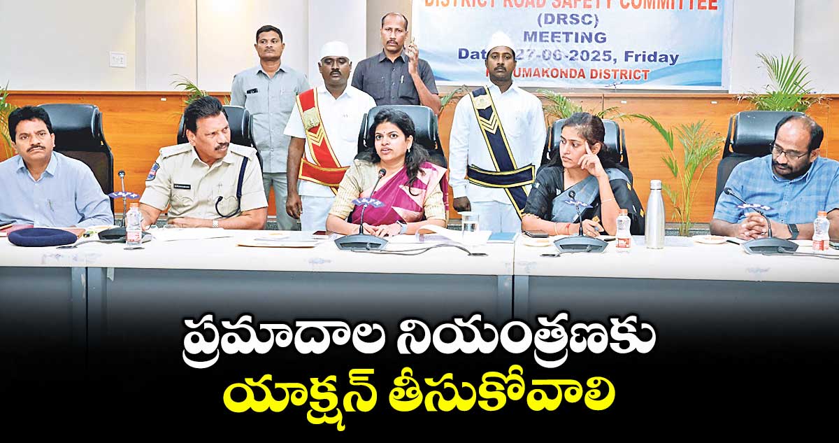 ప్రమాదాల నియంత్రణకు యాక్షన్ తీసుకోవాలి : కలెక్టర్ స్నేహ శబరీశ్