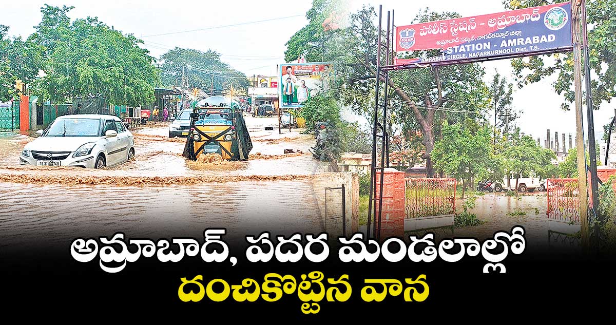 అమ్రాబాద్, పదర మండలాల్లో దంచికొట్టిన వాన..