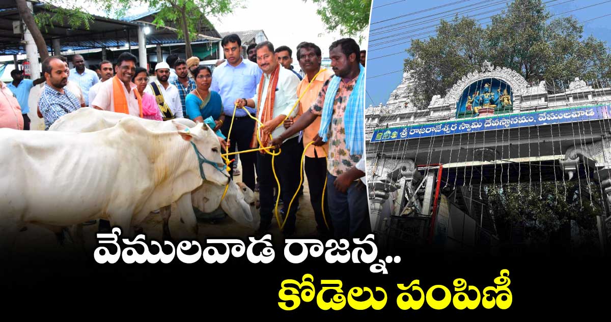 వేములవాడ రాజన్న కోడెలు పంపిణీ