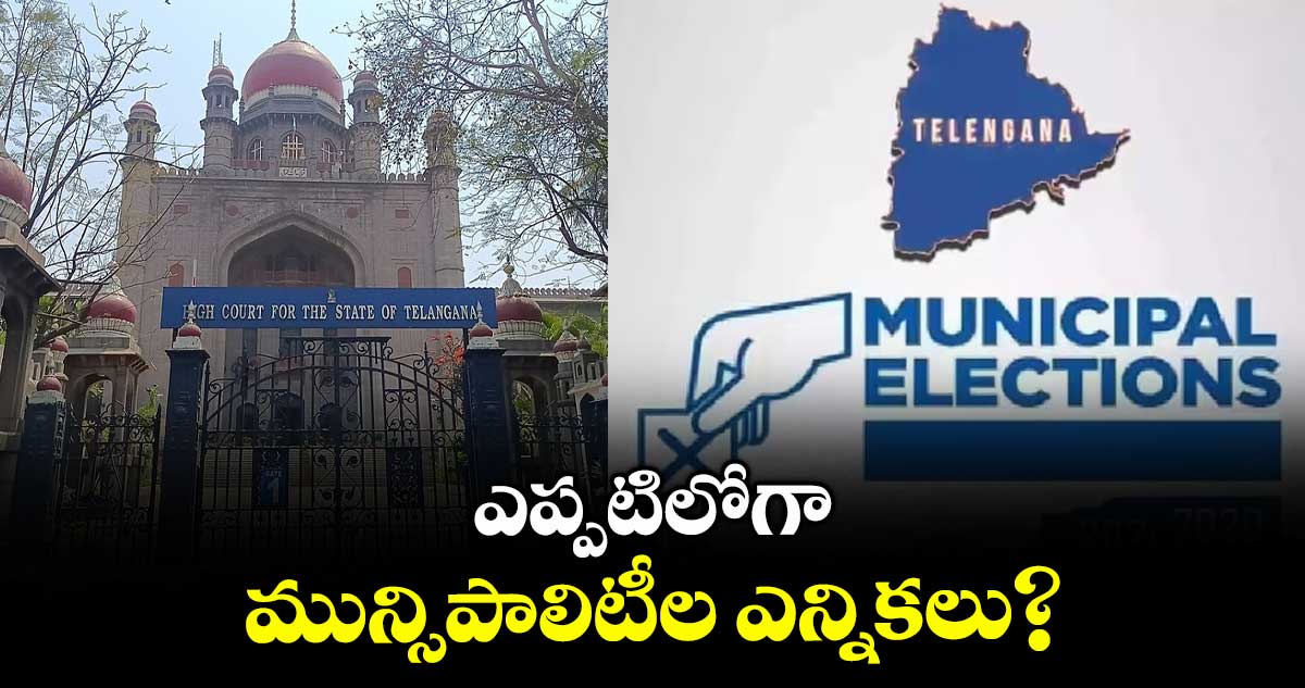 ఎప్పటిలోగా మున్సిపాలిటీల ఎన్నికలు? : హైకోర్టు