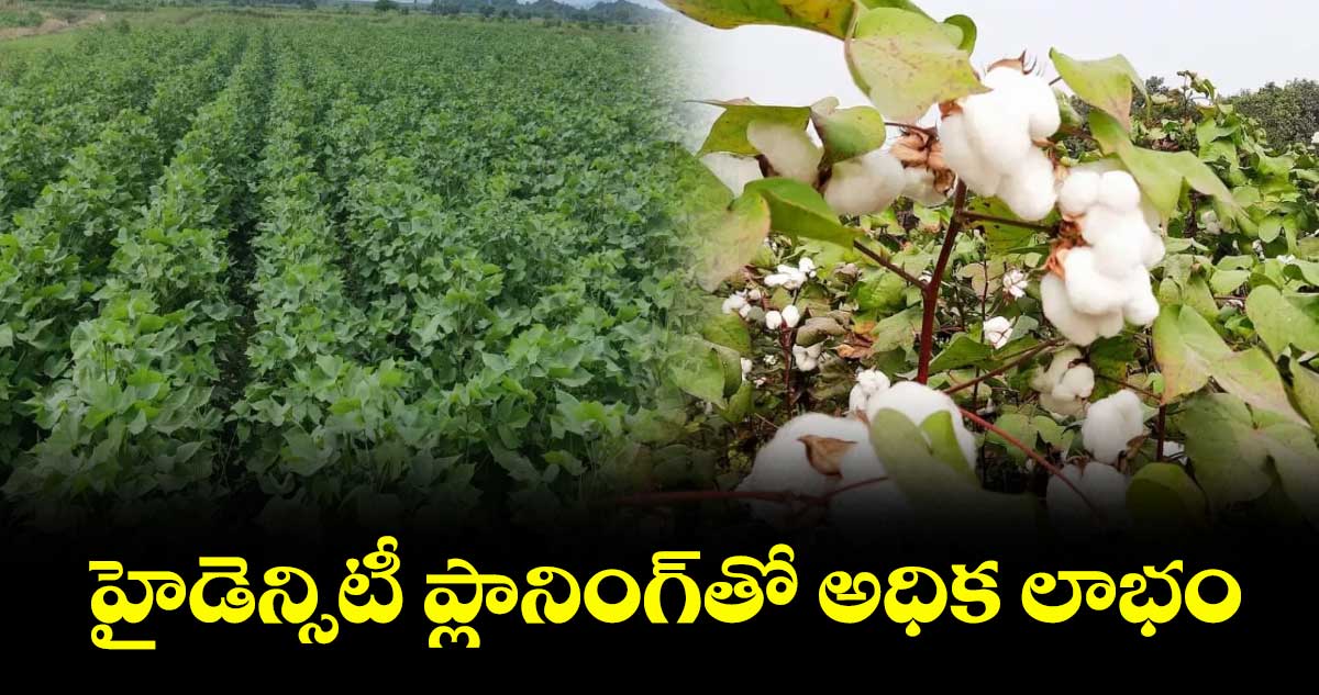 హైడెన్సిటీ ప్లానింగ్తో అధిక లాభం
