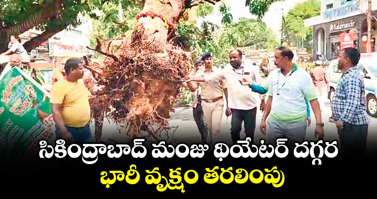 సికింద్రాబాద్ మంజు థియేటర్ దగ్గర భారీ వృక్షం తరలింపు