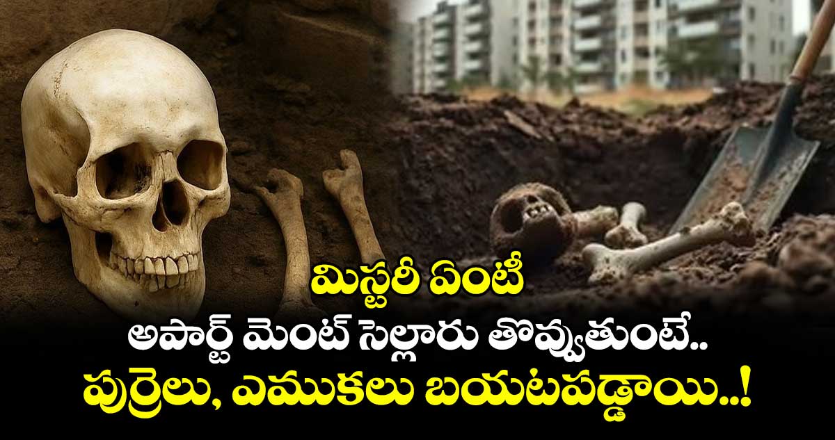 మిస్టరీ ఏంటీ: అపార్ట్ మెంట్ సెల్లారు తొవ్వుతుంటే పుర్రెలు, ఎముకలు బయటపడ్డాయి..!