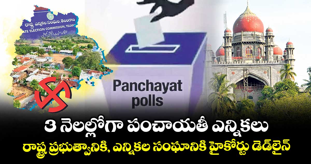 3 నెలల్లోగా పంచాయతీ ఎన్నికలు .. రాష్ట్ర ప్రభుత్వానికి, ఎన్నికల సంఘానికి హైకోర్టు డెడ్లైన్