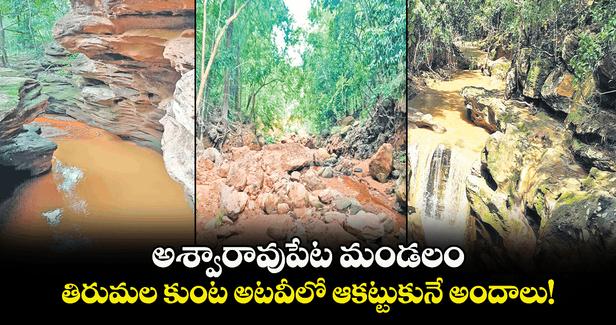 అశ్వారావుపేట మండలం తిరుమల కుంట అటవీలో ఆకట్టుకునే అందాలు!