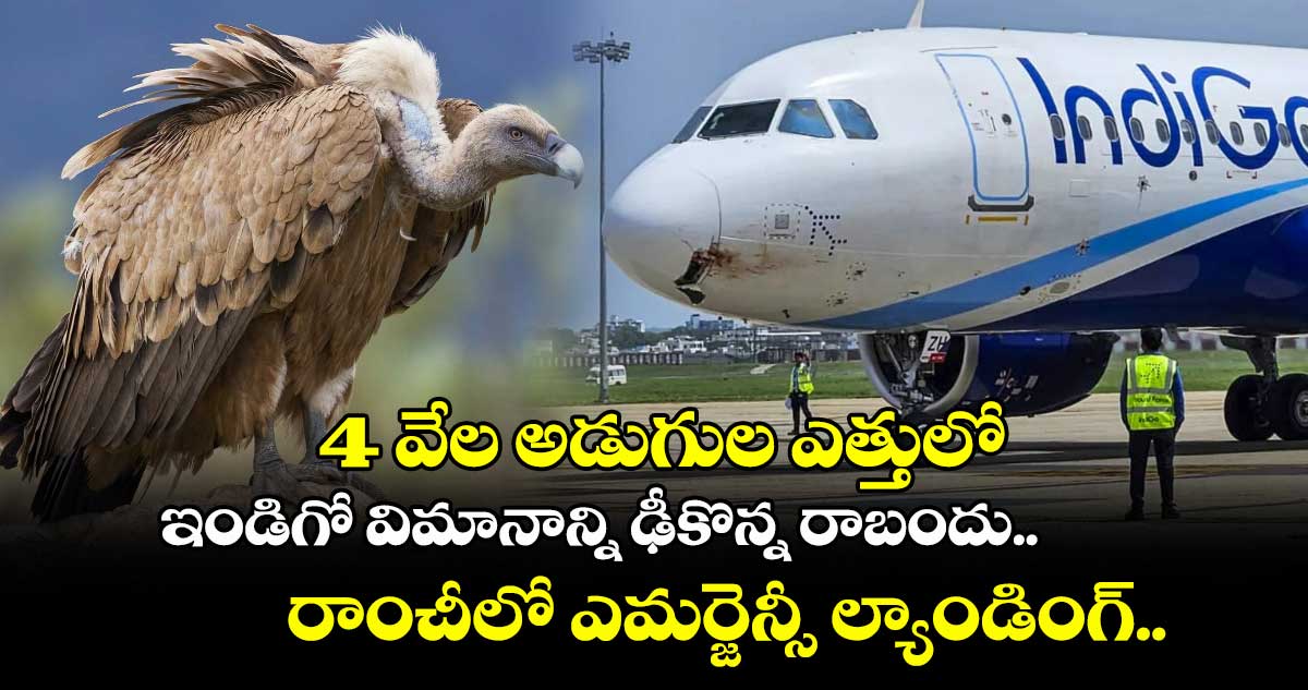 4 వేల అడుగుల ఎత్తులో ఇండిగో విమానాన్ని ఢీకొన్న రాబందు.. రాంచీలో ఎమర్జెన్సీ ల్యాండింగ్.. 