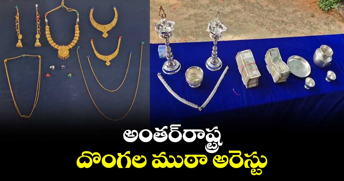 అన్నమయ్య జిల్లా: అంతర్రాష్ట్ర దొంగల ముఠా అరెస్టు