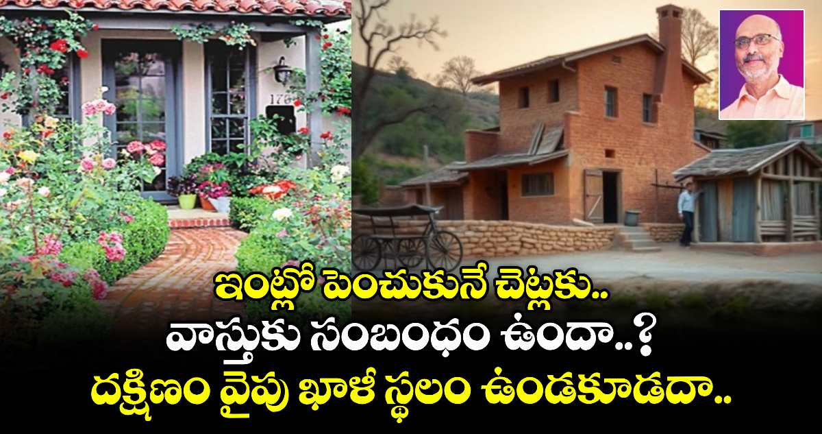 Vastu Tips : ఇంట్లో పెంచుకునే చెట్లకు వాస్తుకు సంబంధం ఉందా..? దక్షిణం వైపు ఖాళీ స్థలం ఉండకూడదా..