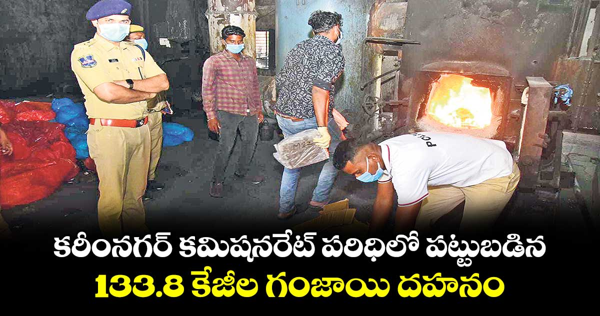 కరీంనగర్ కమిషనరేట్ పరిధిలో పట్టుబడిన 133.8 కేజీల గంజాయి దహనం