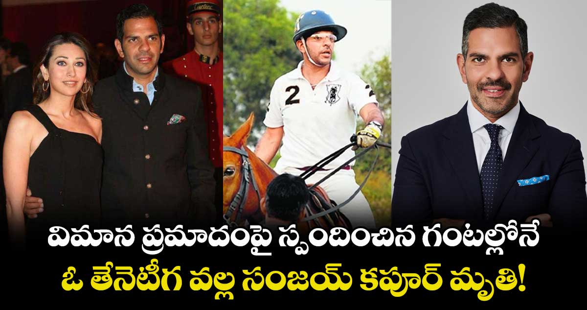 Sunjay Kapur: విమాన ప్రమాదంపై స్పందించిన గంటల్లోనే.. ఓ తేనెటీగ వల్ల సంజయ్ కపూర్ మృతి!