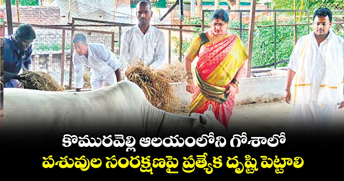 కొమురవెల్లి ఆలయంలోని గోశాలో పశువుల సంరక్షణపై ప్రత్యేక దృష్టి పెట్టాలి : ఈఓ అన్నపూర్ణ