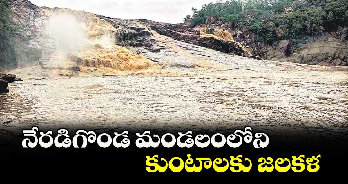 నేరడిగొండ మండలంలోని కుంటాలకు జలకళ
