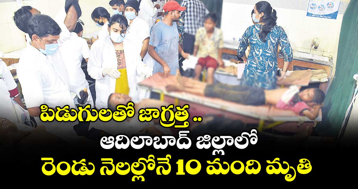 పిడుగులతో జాగ్రత్త ..  ఆదిలాబాద్ జిల్లాలో రెండు నెలల్లోనే 10 మంది మృతి 