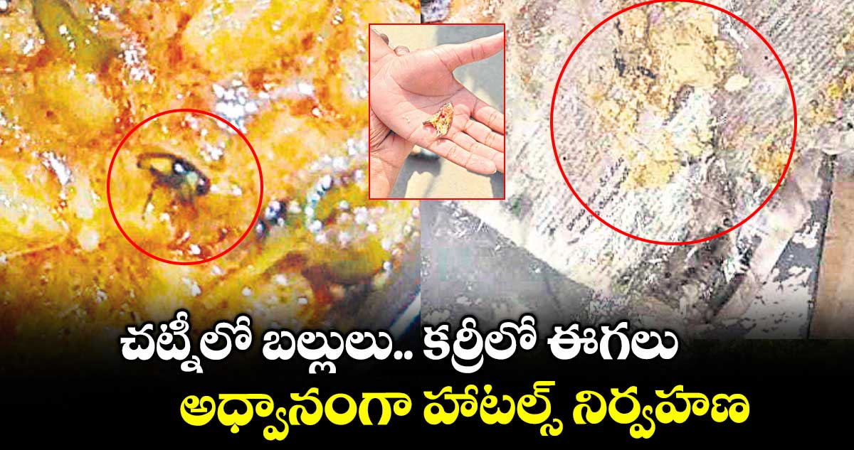 చట్నీలో బల్లులు.. కర్రీలో ఈగలు..అధ్వానంగా హోటల్స్ నిర్వహణ