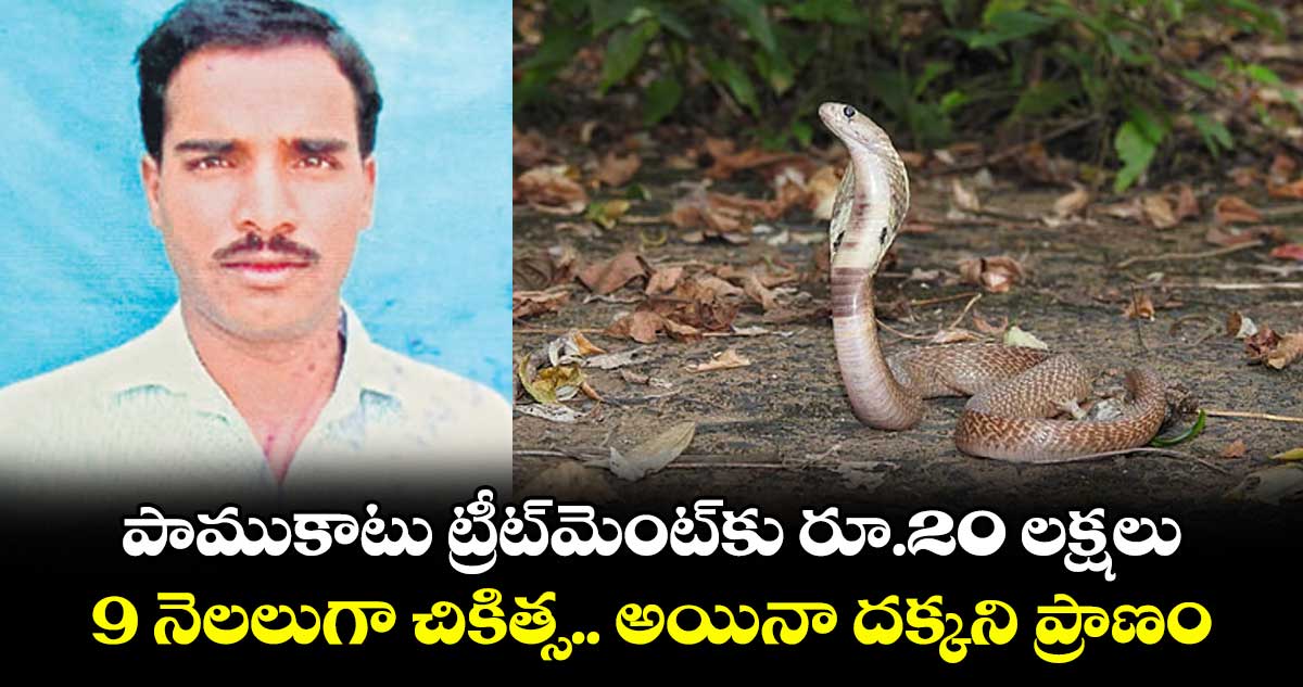 పాముకాటు ట్రీట్మెంట్కు రూ.20 లక్షలు.. 9 నెలలుగా చికిత్స.. అయినా దక్కని ప్రాణం