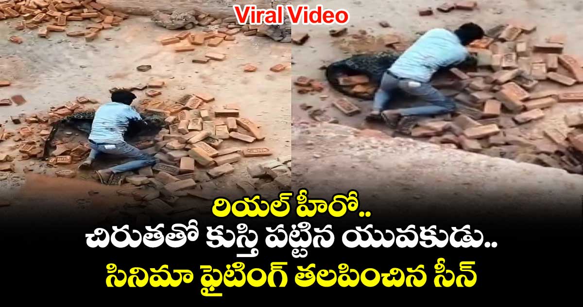 Viral Video: రియల్ హీరో..చిరుతతో కుస్తి పట్టిన యువకుడు..సినిమా ఫైటింగ్ తలపించిన సీన్