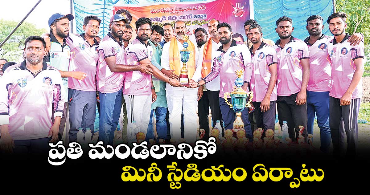 ప్రతి మండలానికో మినీ స్టేడియం ఏర్పాటు : విప్ ఆది శ్రీనివాస్