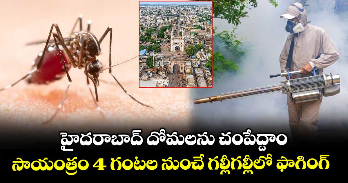 హైదరాబాద్ దోమలను చంపేద్దాం.. సాయంత్రం 4 గంటల నుంచే గల్లీగల్లీలో ఫాగింగ్
