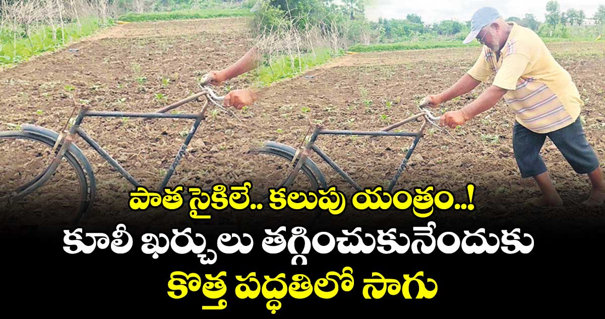 పాత సైకిలే.. కలుపు యంత్రం..! కూలీ ఖర్చులు తగ్గించుకునేందుకు కొత్త పద్ధతిలో సాగు