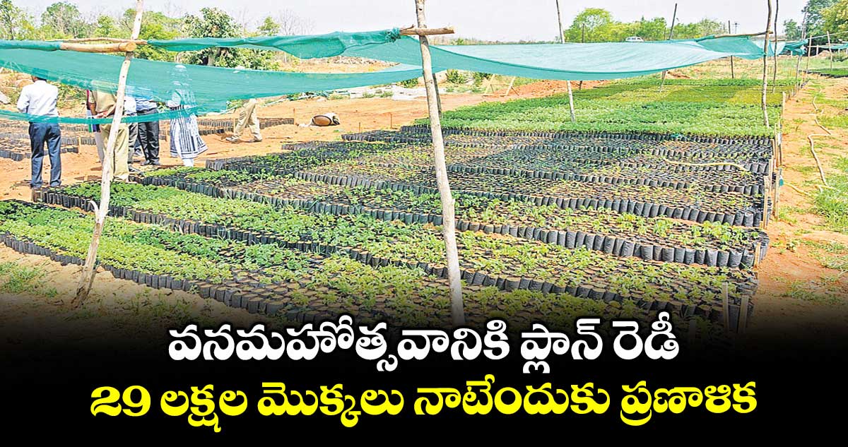 వనమహోత్సవానికి ప్లాన్ రెడీ..29 లక్షల మొక్కలు నాటేందుకు ప్రణాళిక