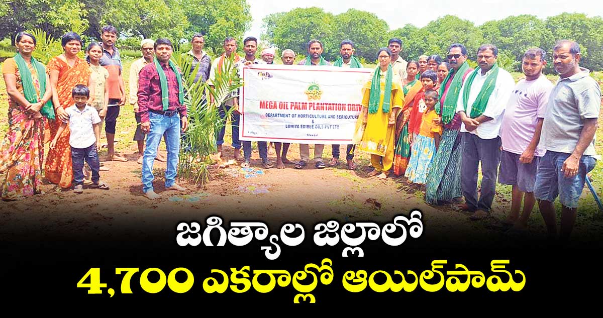 జగిత్యాల జిల్లాలో 4,700 ఎకరాల్లో ఆయిల్పామ్