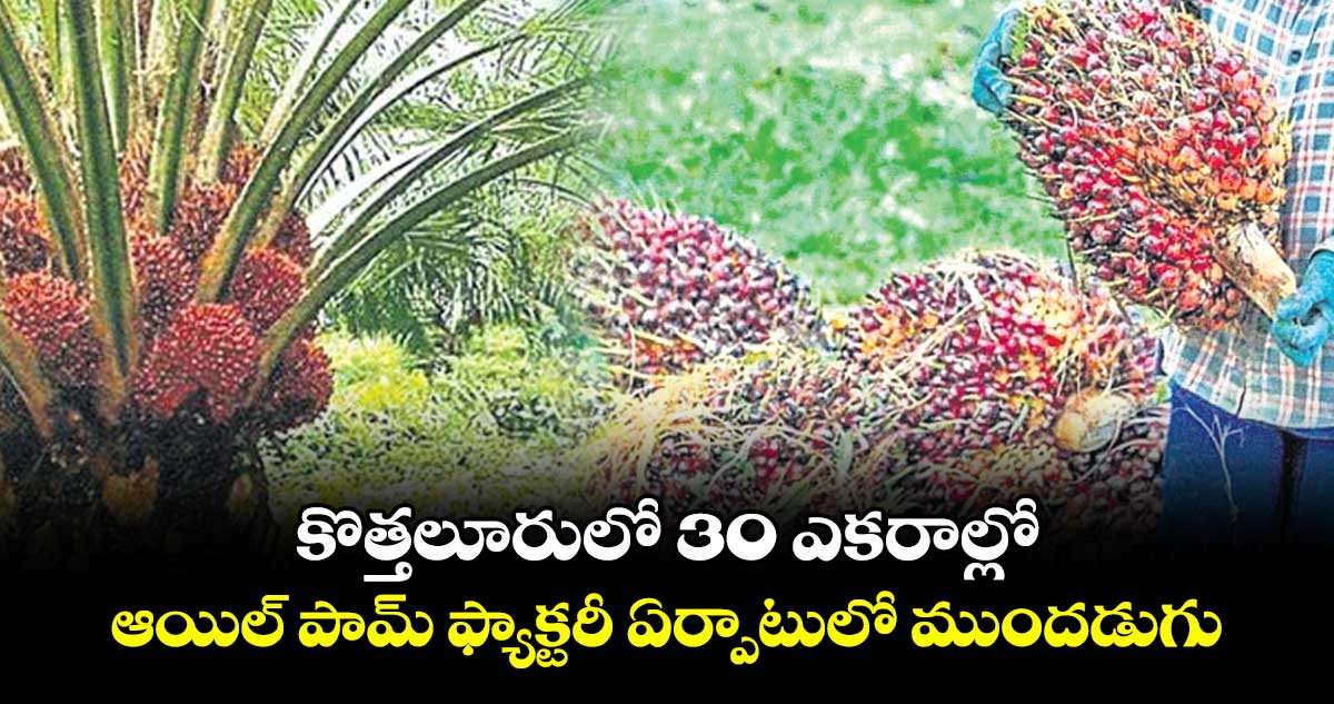 కొత్తలూరులో 30 ఎకరాల్లో ఆయిల్ పామ్ ఫ్యాక్టరీ ఏర్పాటులో ముందడుగు