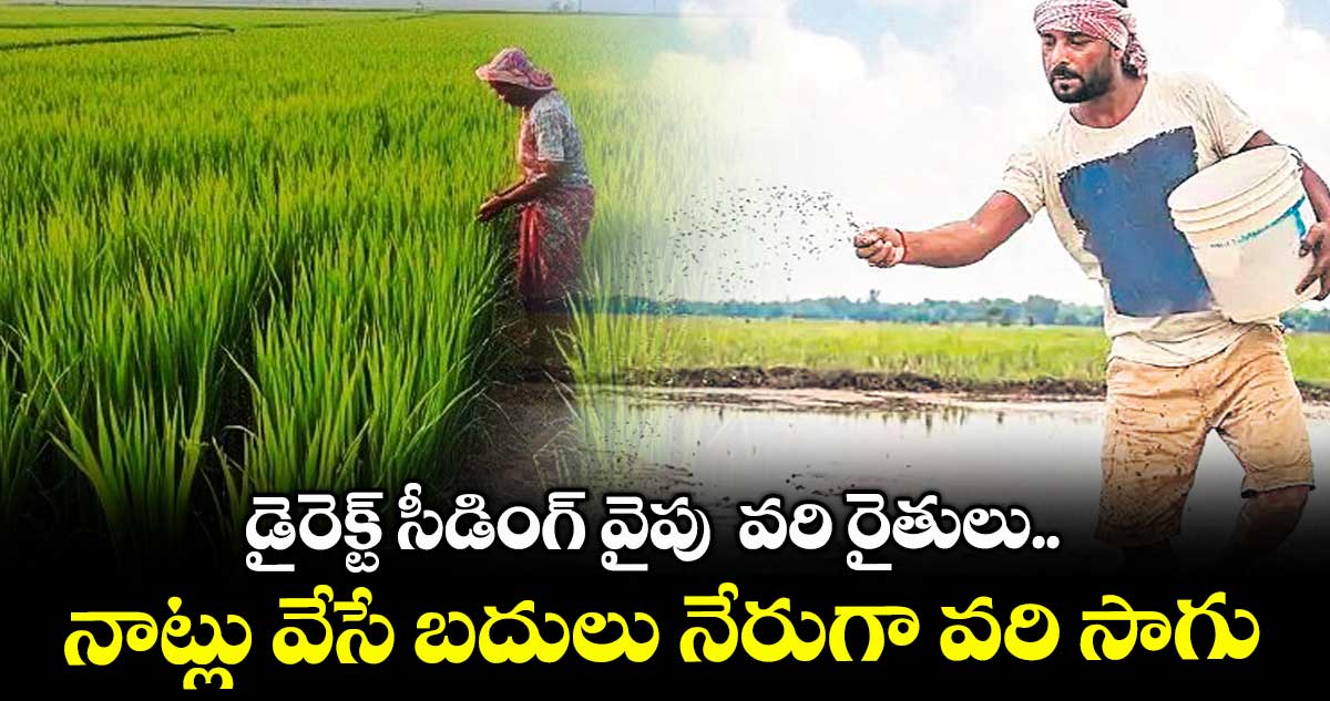 డైరెక్ట్ సీడింగ్ వైపు వరి రైతులు..నాట్లు వేసే బదులు నేరుగా వరి సాగు